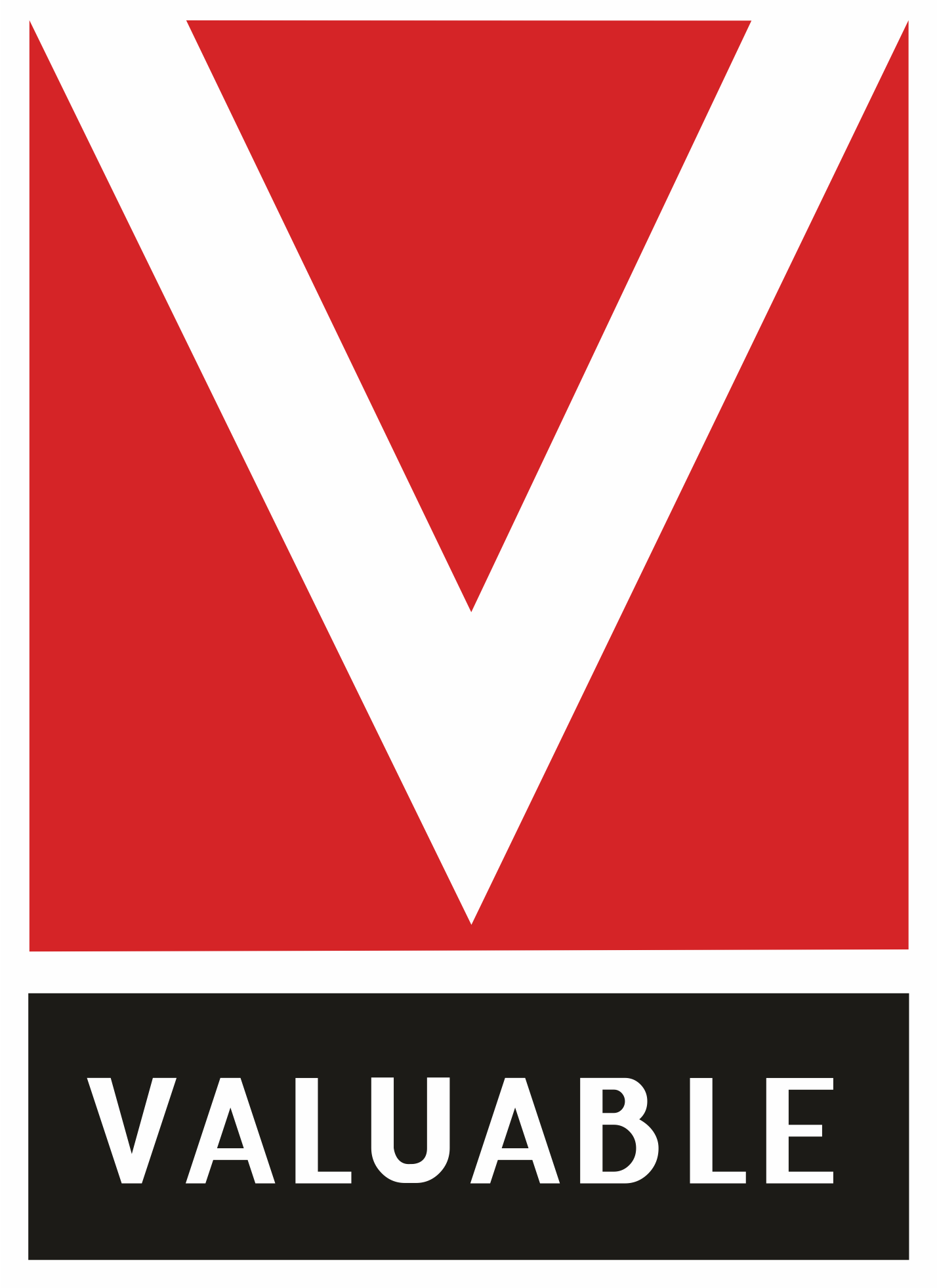 Valuable Group logo with tagline (1)