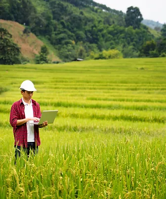 A young man using a laptop PC in a rice paddy